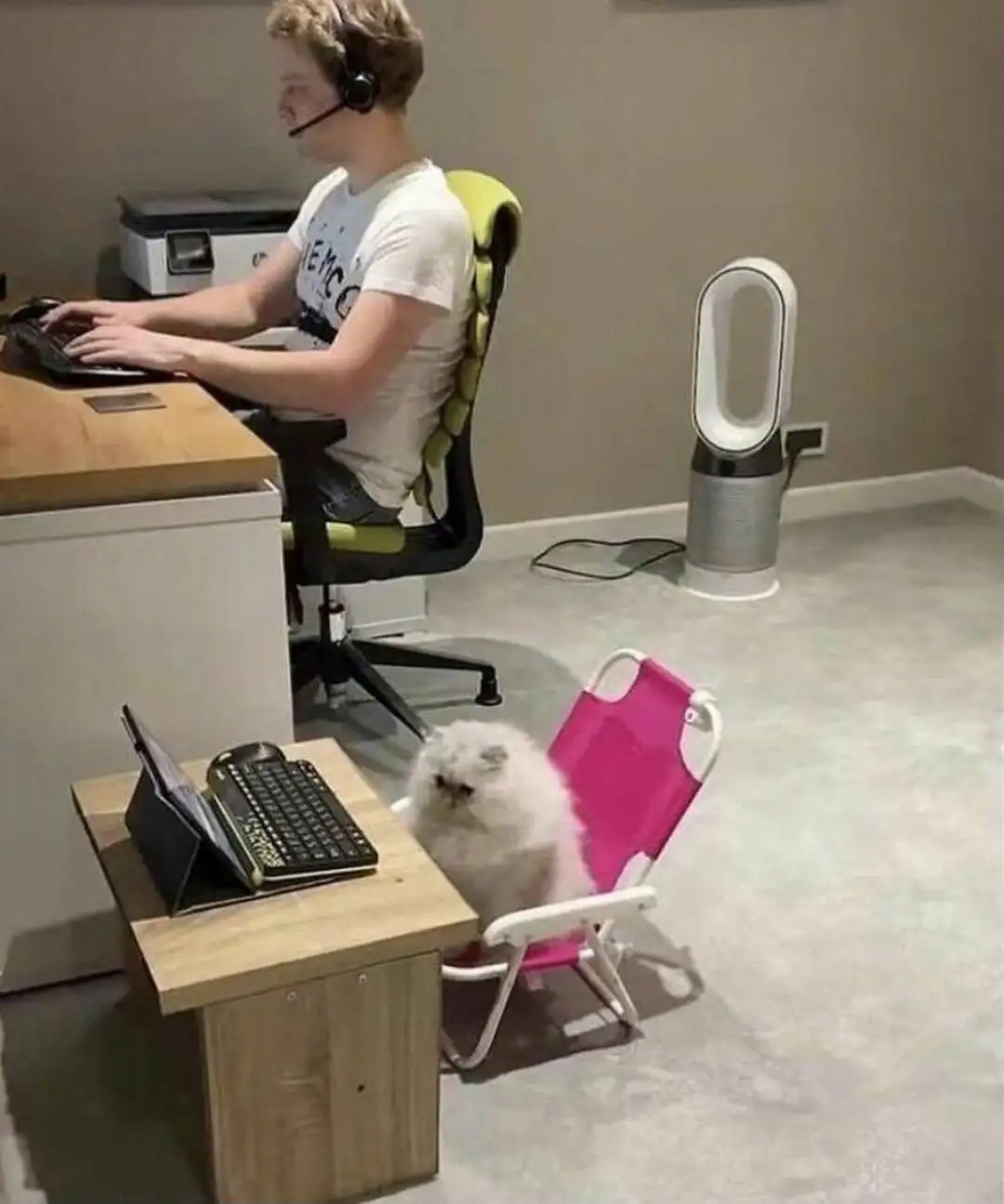 Attached image