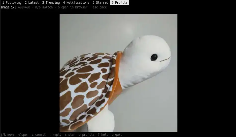 Attached image