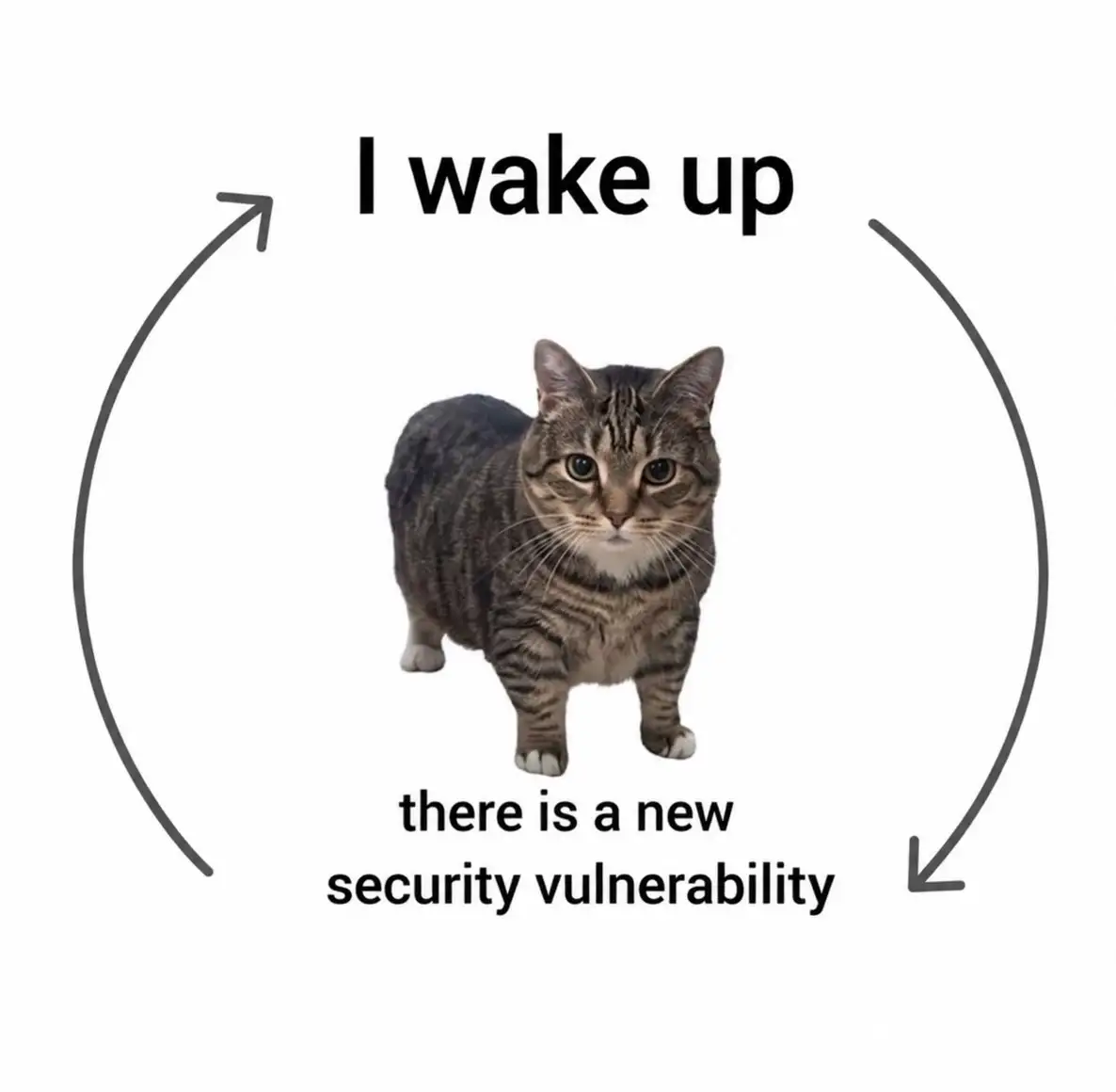 Attached image