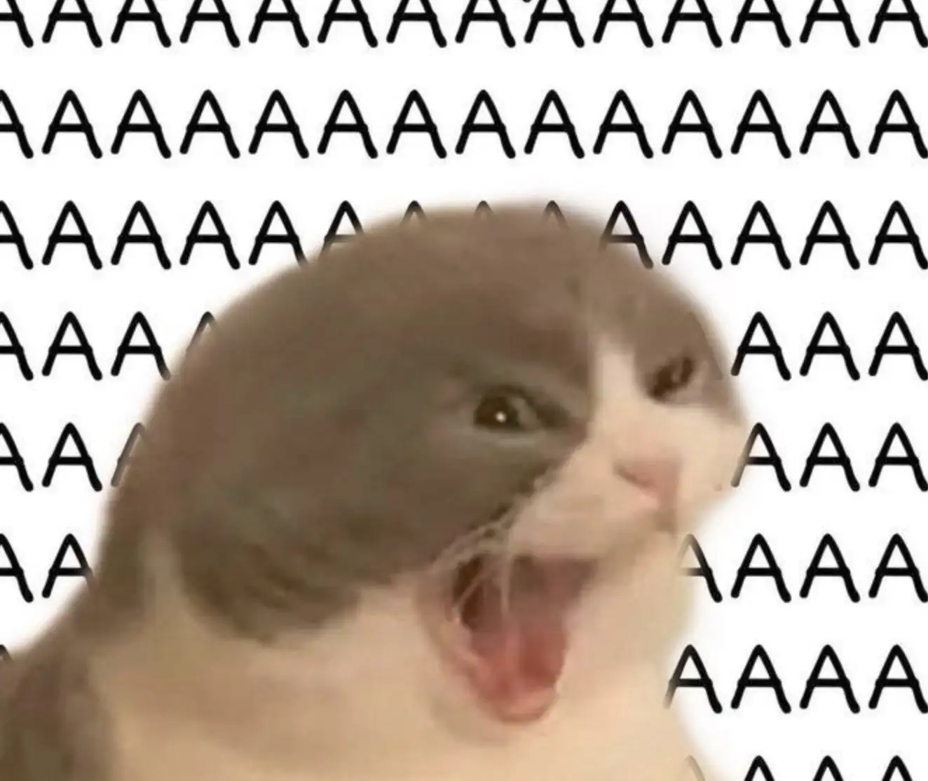 Attached image