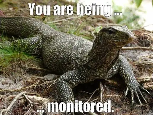 Attached image
